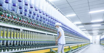 揭秘網易嚴選工廠 如何通過貨物與技術進出口實現“好的生活沒那么貴”